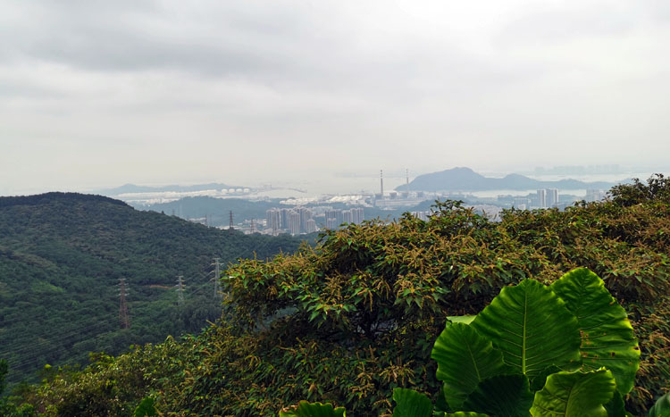 激揚青春、奮勇攀登登山活動